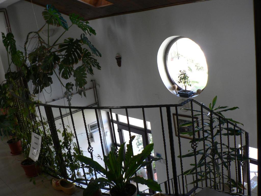 Casa Havana (Adults Only) Costinești Exterior foto